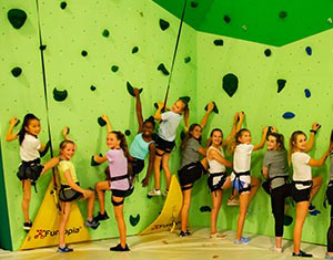 Pro Climbing Competitions